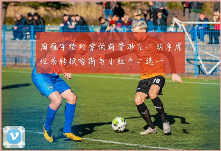 周冠宇续约索伯前景渺茫,明年席位或转投哈斯与小红牛二选一