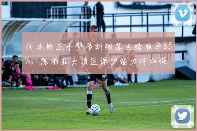 何冰娇正手劈吊斜线落点精准率85%,陈雨菲头顶区保护能力待加强